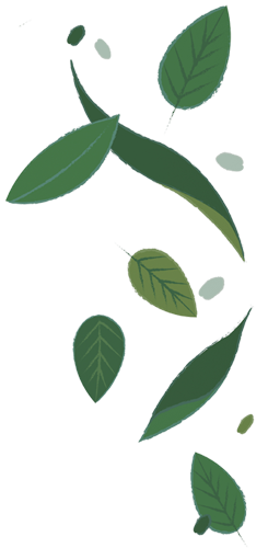 bg-leaves-right